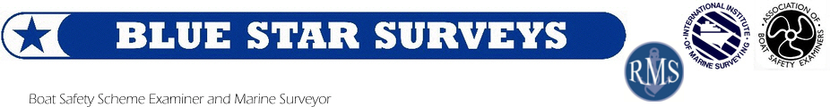 Blue Star Surveys Logo