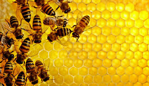 Bee service Logo
