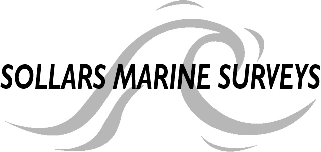Barney Sollars Logo